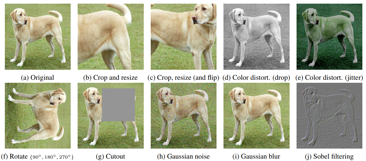 data augmentations in SimCLR